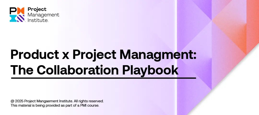 Template cover of Product and Project Collaboration Canvas