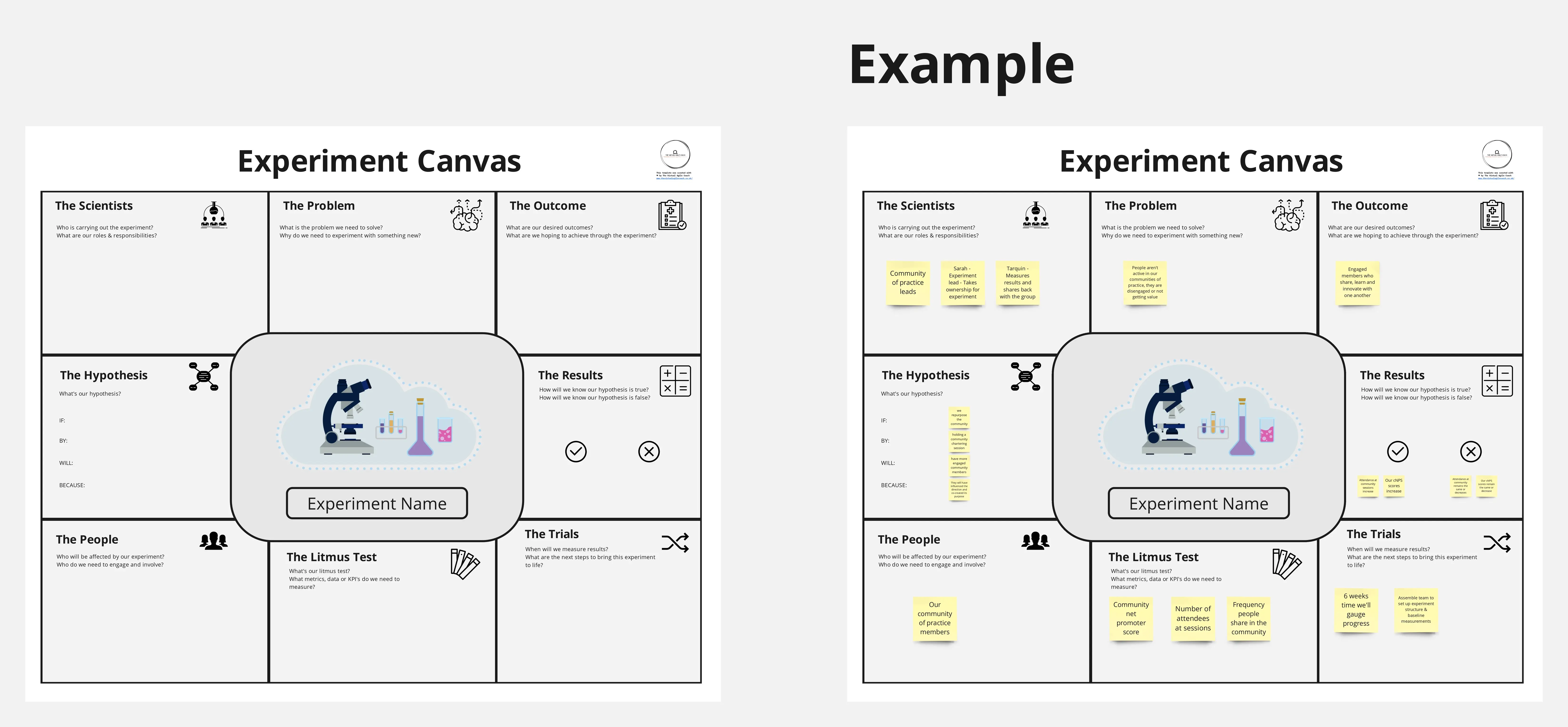 Template cover of The Experiment Canvas