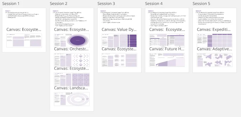 Template cover of The Ecosystem Project Canvases