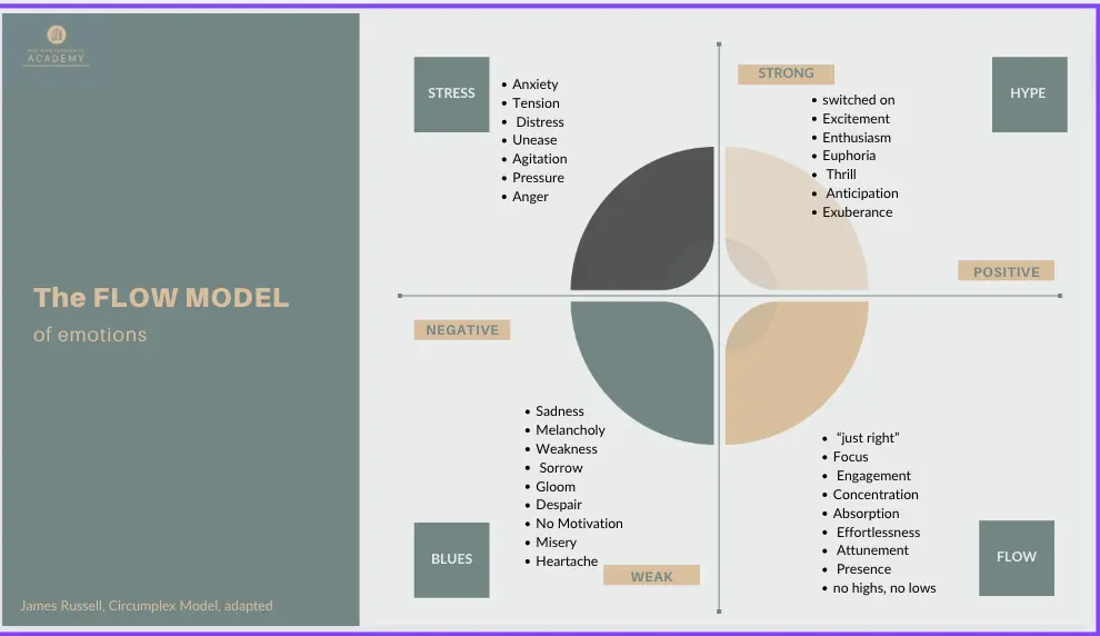 Template cover of Flow Model For Teams