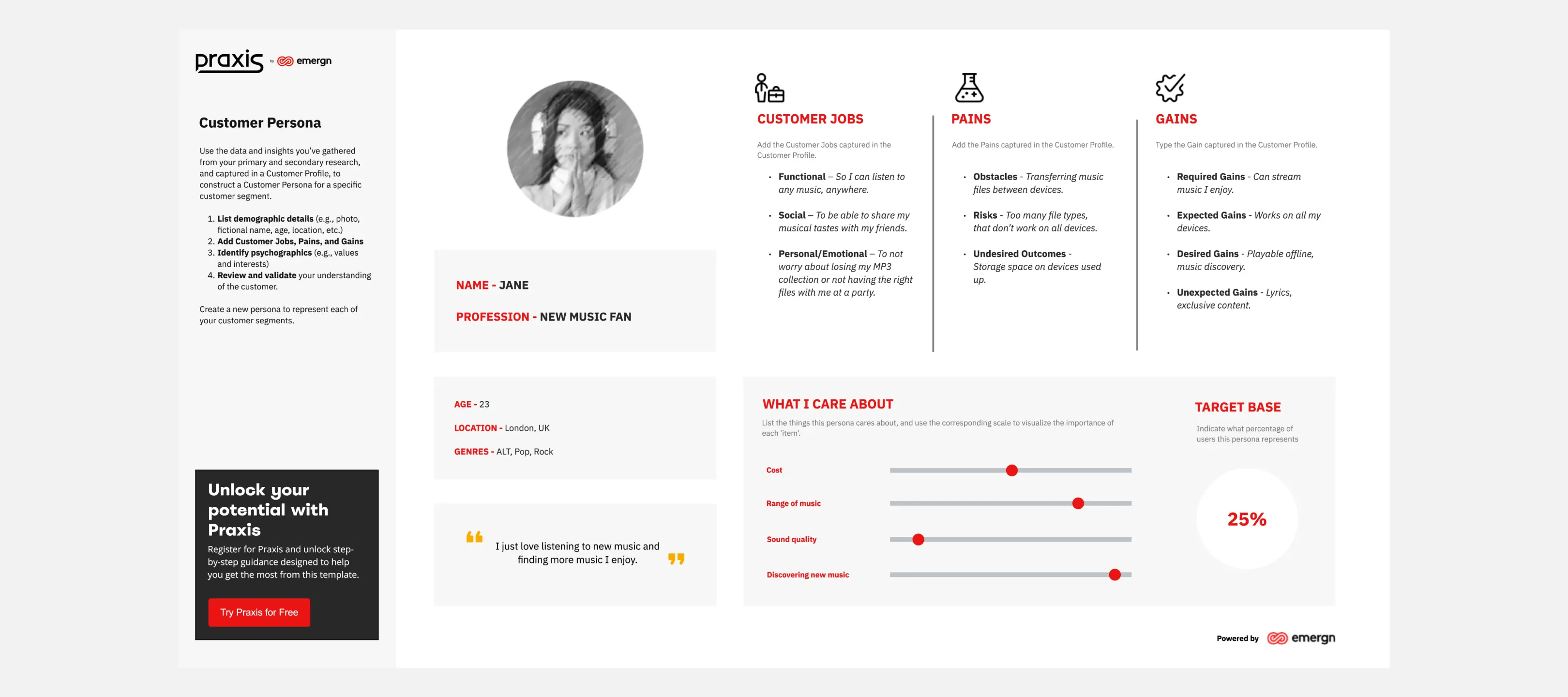 Template cover of Customer Persona