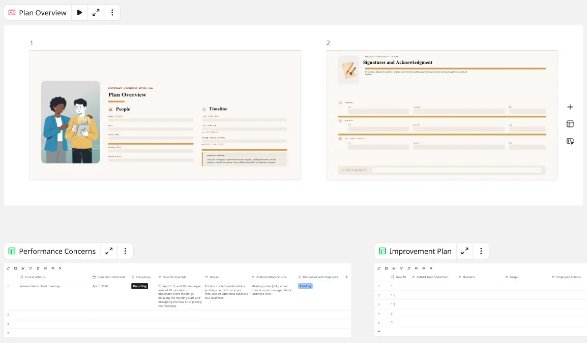 Performance Improvement Action Plan