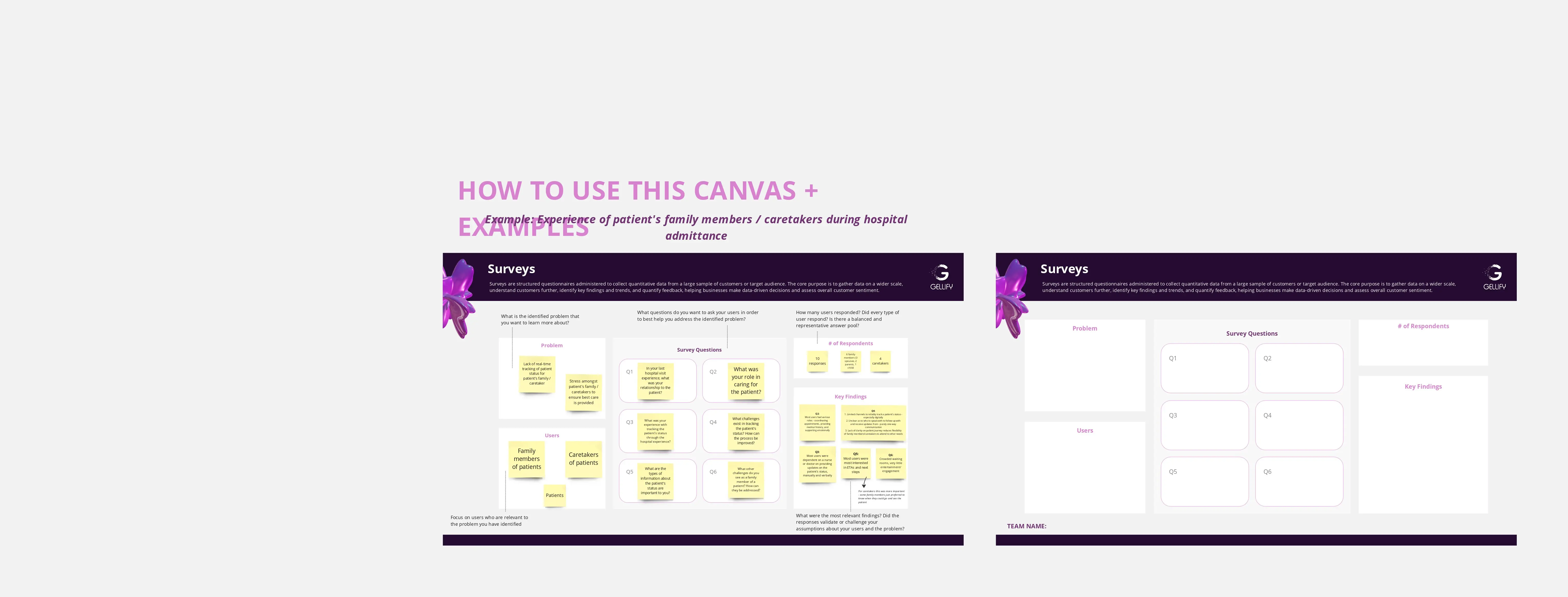 Template cover of Survey Canvas