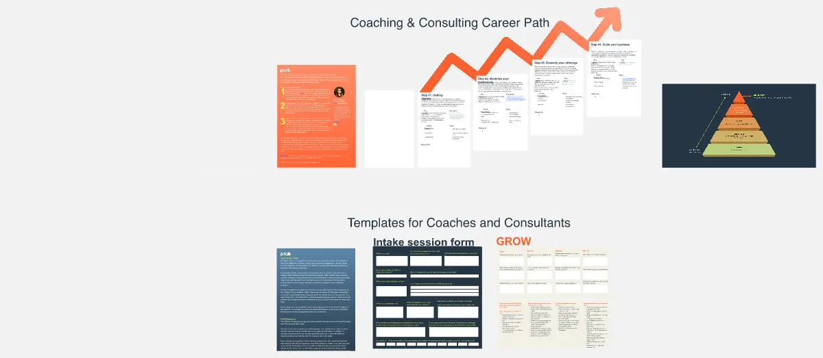 Template cover of Coaching and Consulting Businesses