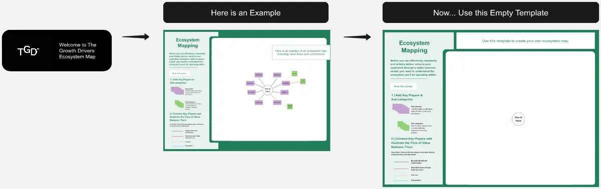 Template cover of Ecosystem Map 