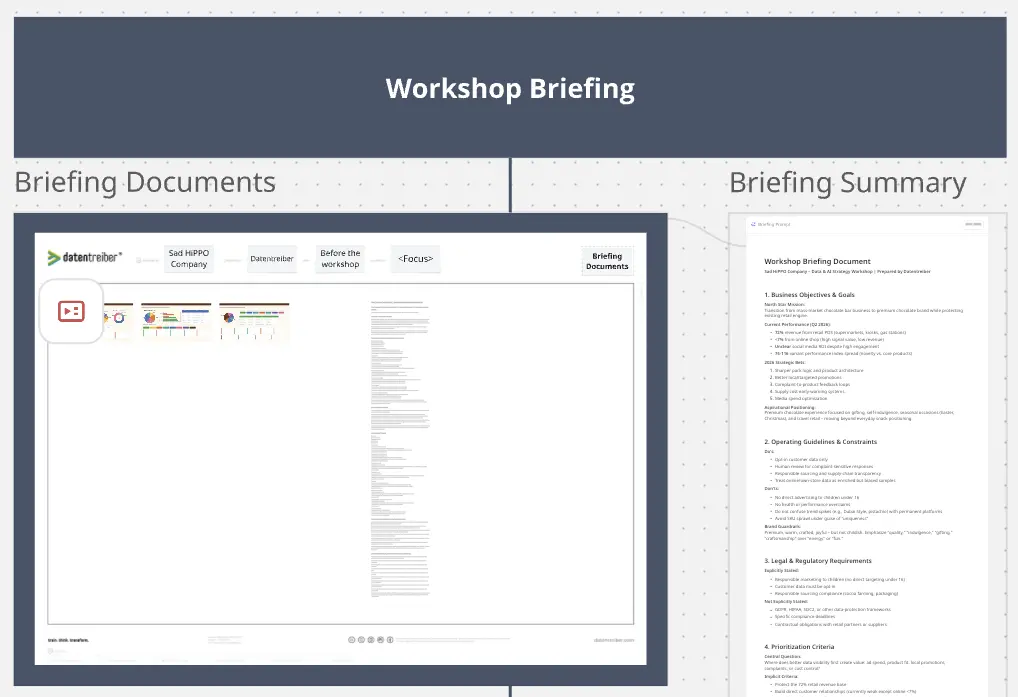 Data & AI Workshop Briefing Summarization