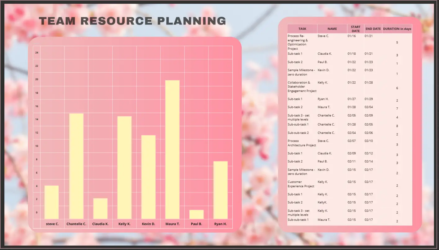 Team Resource Planning