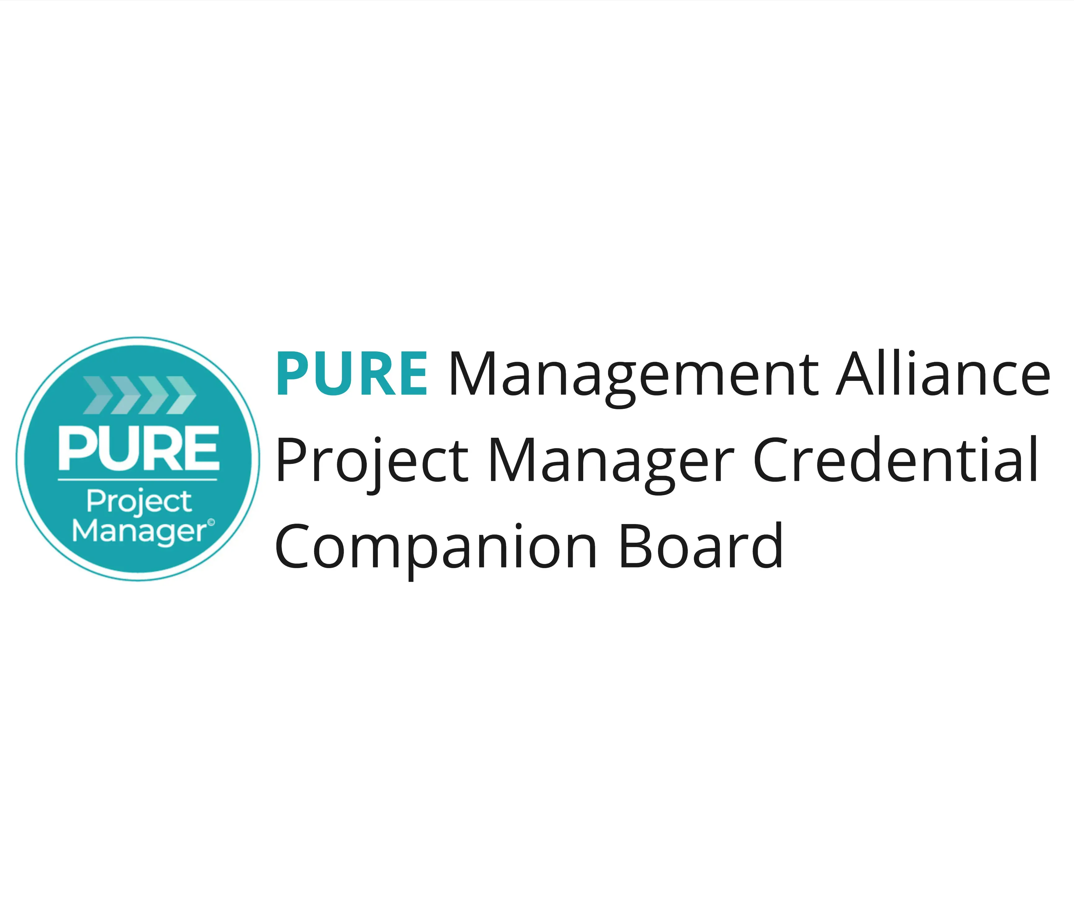 Template cover of PURE Project Manager Companion Board